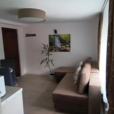 Palmowy Harnas Appartement Rytro