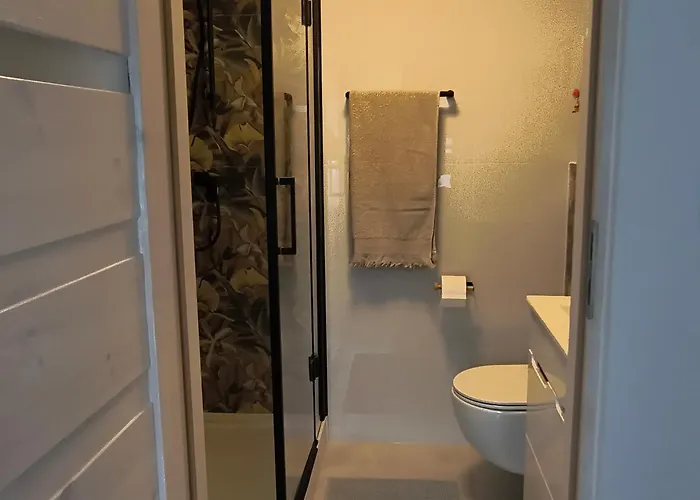 Palmowy Harnas Apartment Rytro