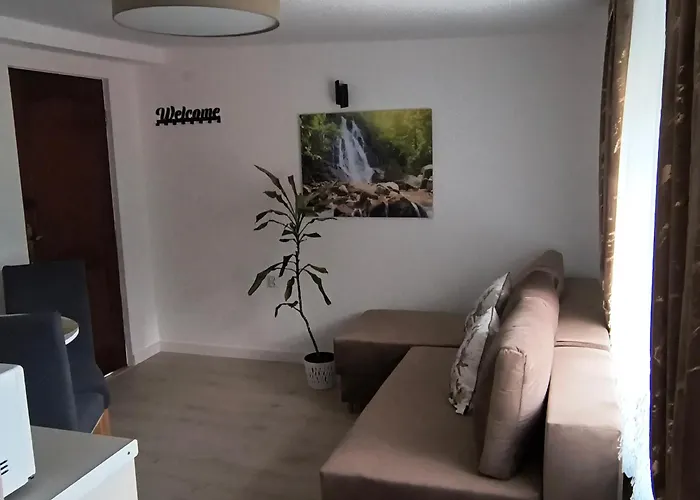 Palmowy Harnas Apartment Rytro