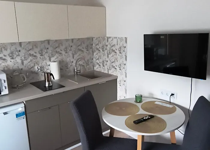 Palmowy Harnas Apartment